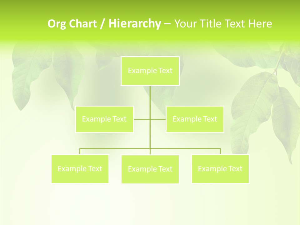 Design White Beauty PowerPoint Template