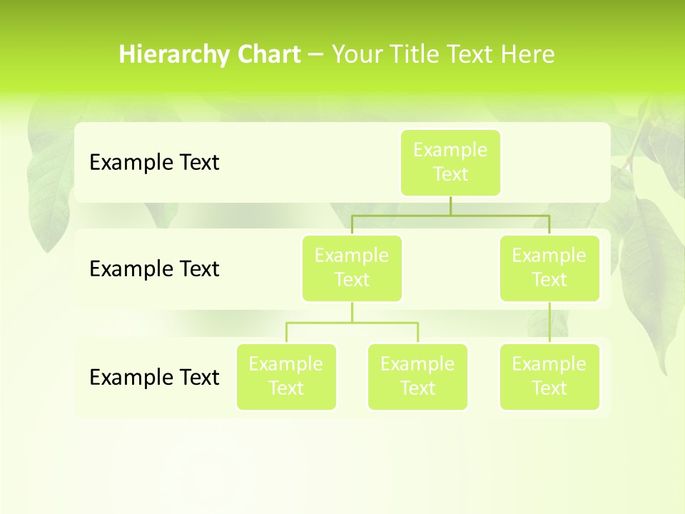 Design White Beauty PowerPoint Template