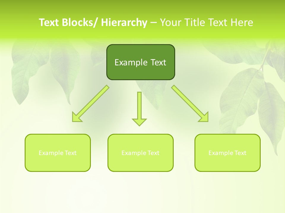 Design White Beauty PowerPoint Template