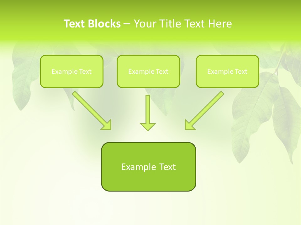 Design White Beauty PowerPoint Template