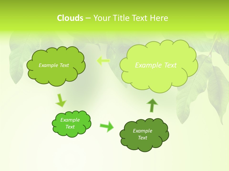 Design White Beauty PowerPoint Template