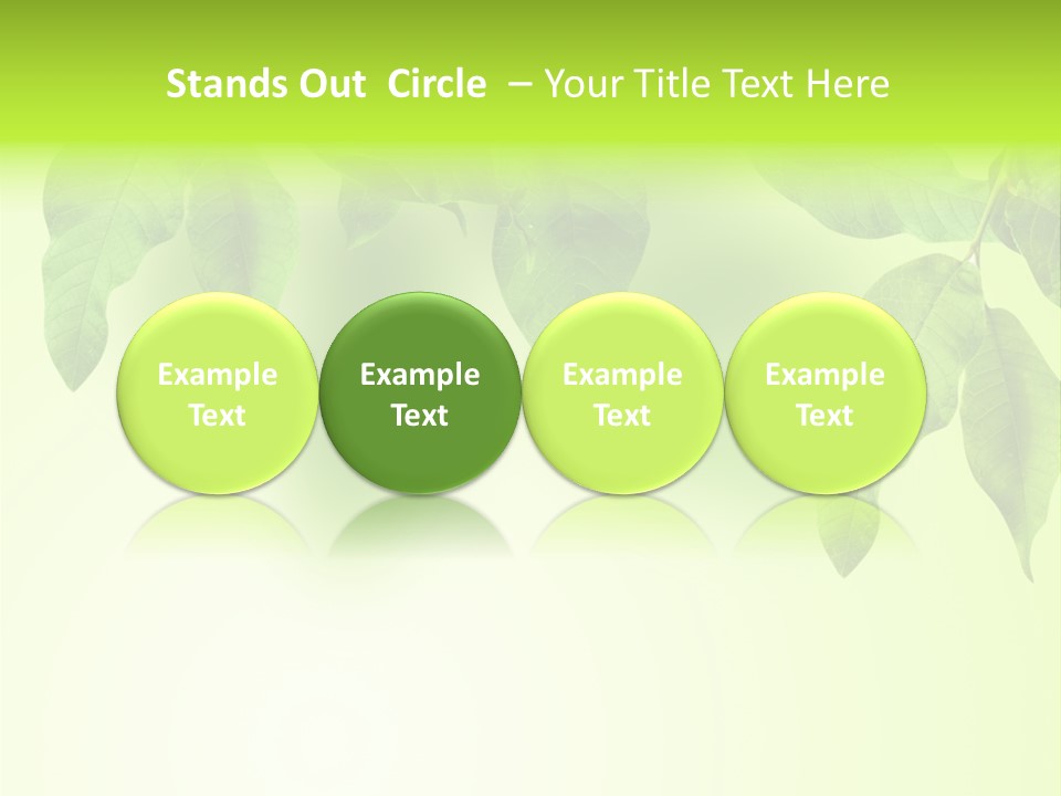 Design White Beauty PowerPoint Template