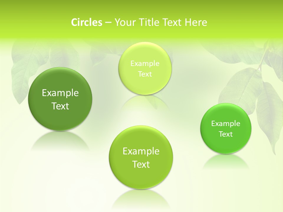 Design White Beauty PowerPoint Template