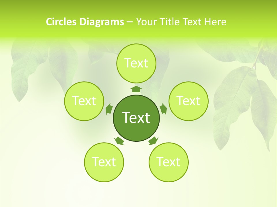 Design White Beauty PowerPoint Template