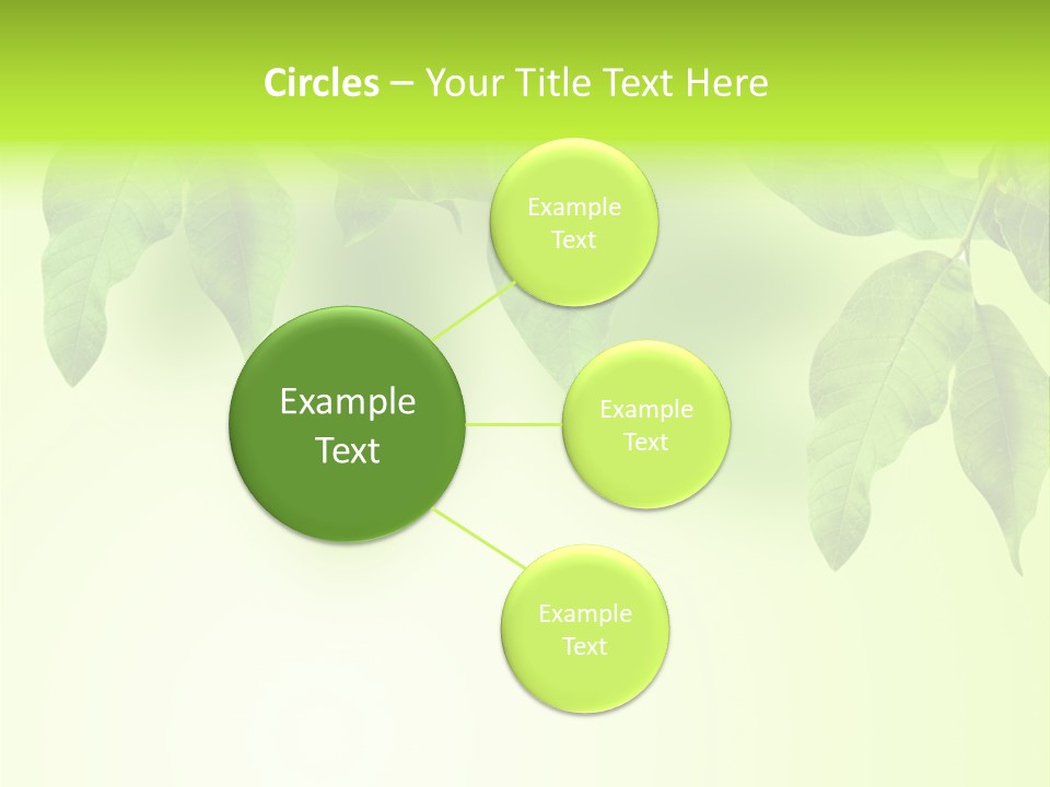 Design White Beauty PowerPoint Template