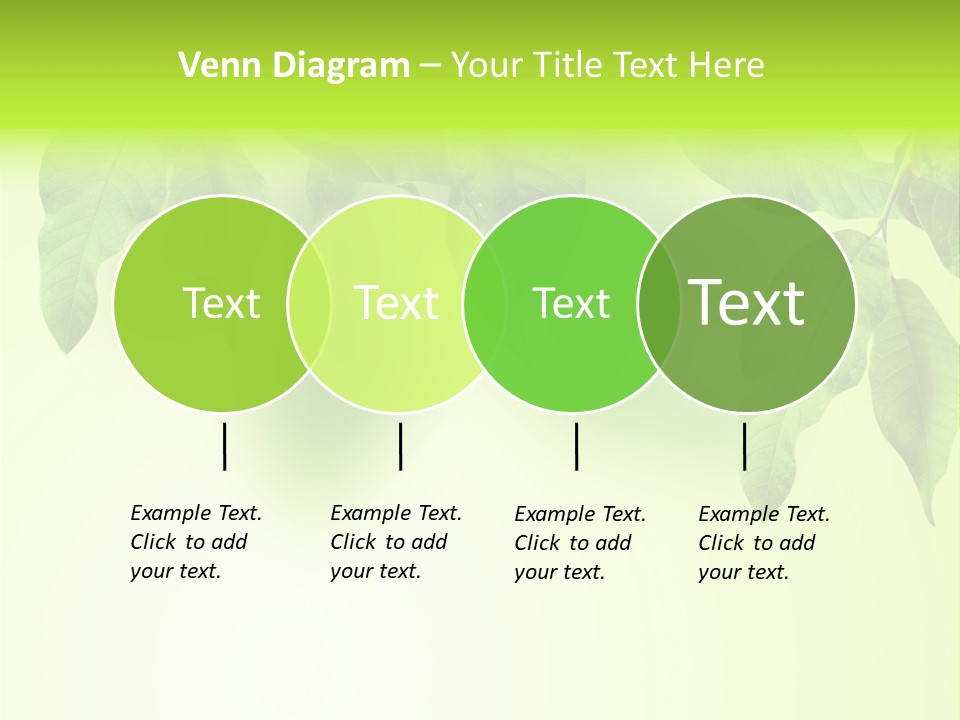 Design White Beauty PowerPoint Template