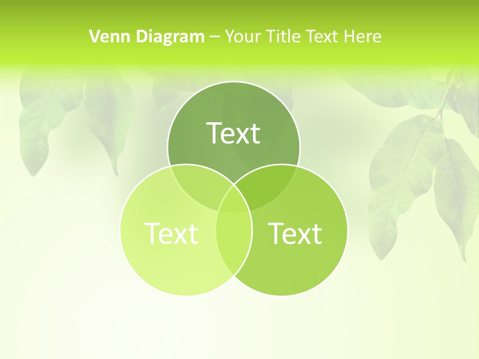 Design White Beauty PowerPoint Template