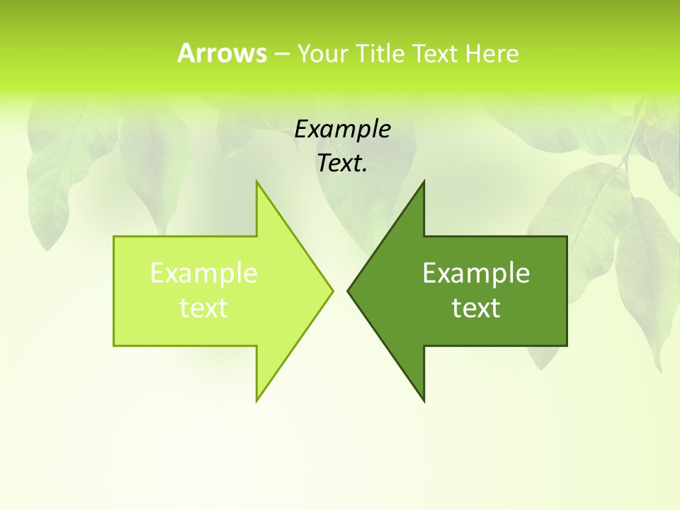 Design White Beauty PowerPoint Template