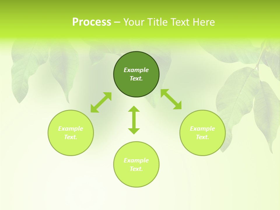 Design White Beauty PowerPoint Template