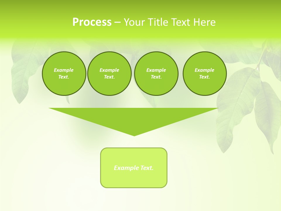 Design White Beauty PowerPoint Template