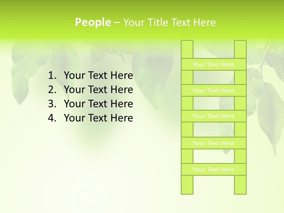 Design White Beauty PowerPoint Template