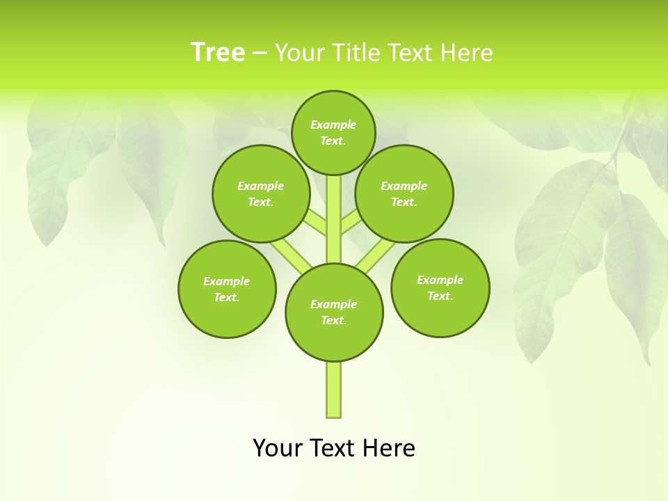 Design White Beauty PowerPoint Template