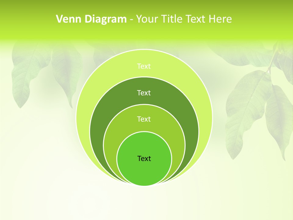 Design White Beauty PowerPoint Template