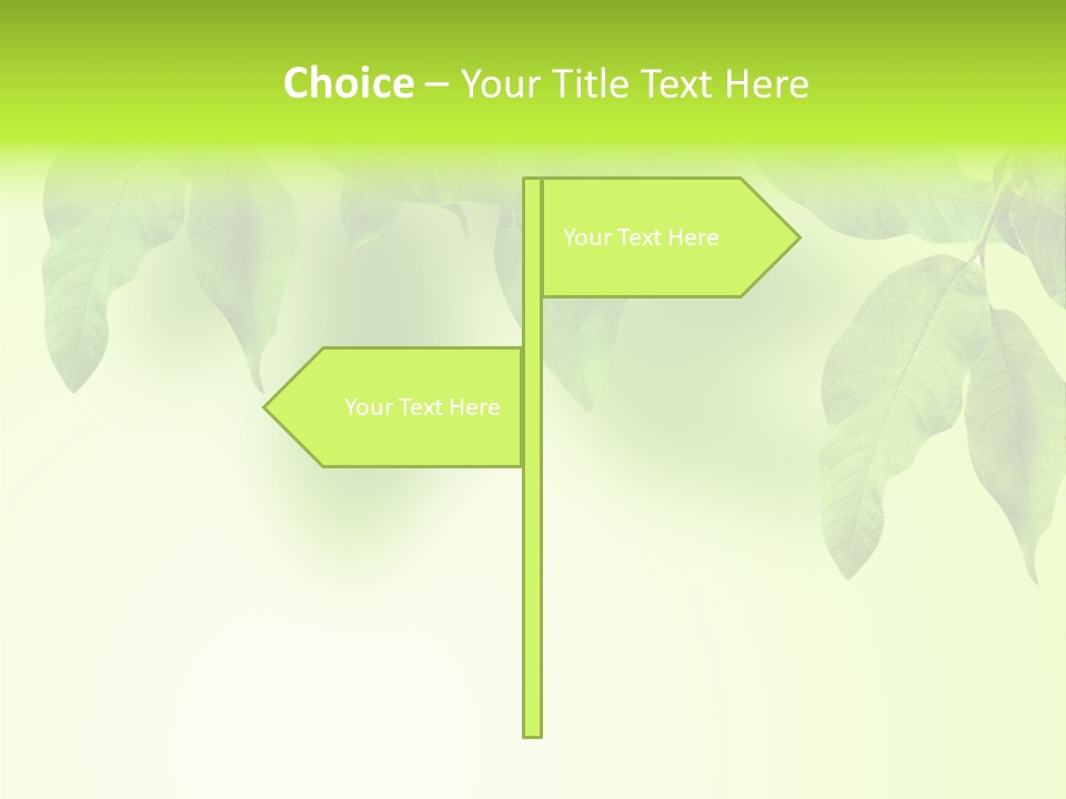 Design White Beauty PowerPoint Template