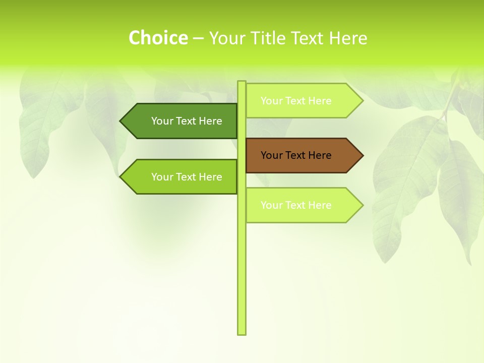 Design White Beauty PowerPoint Template