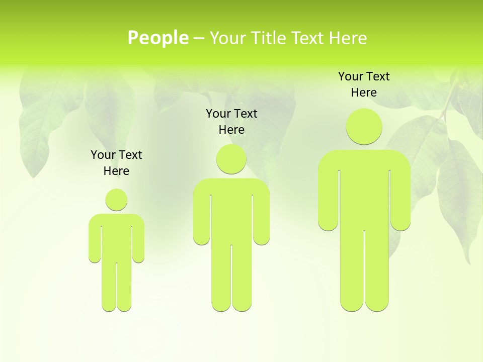 Design White Beauty PowerPoint Template