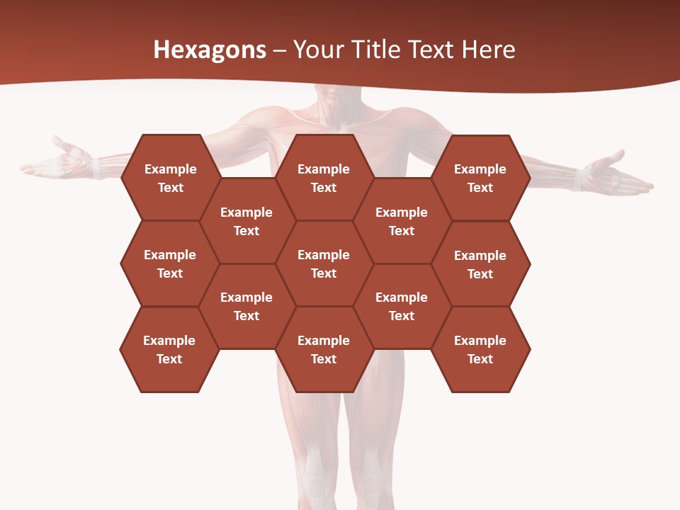 Health Nature Education PowerPoint Template