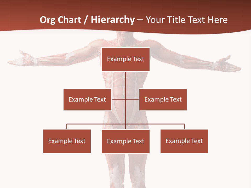 Health Nature Education PowerPoint Template