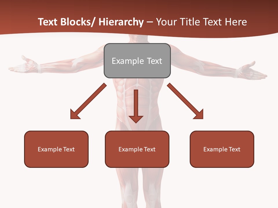 Health Nature Education PowerPoint Template