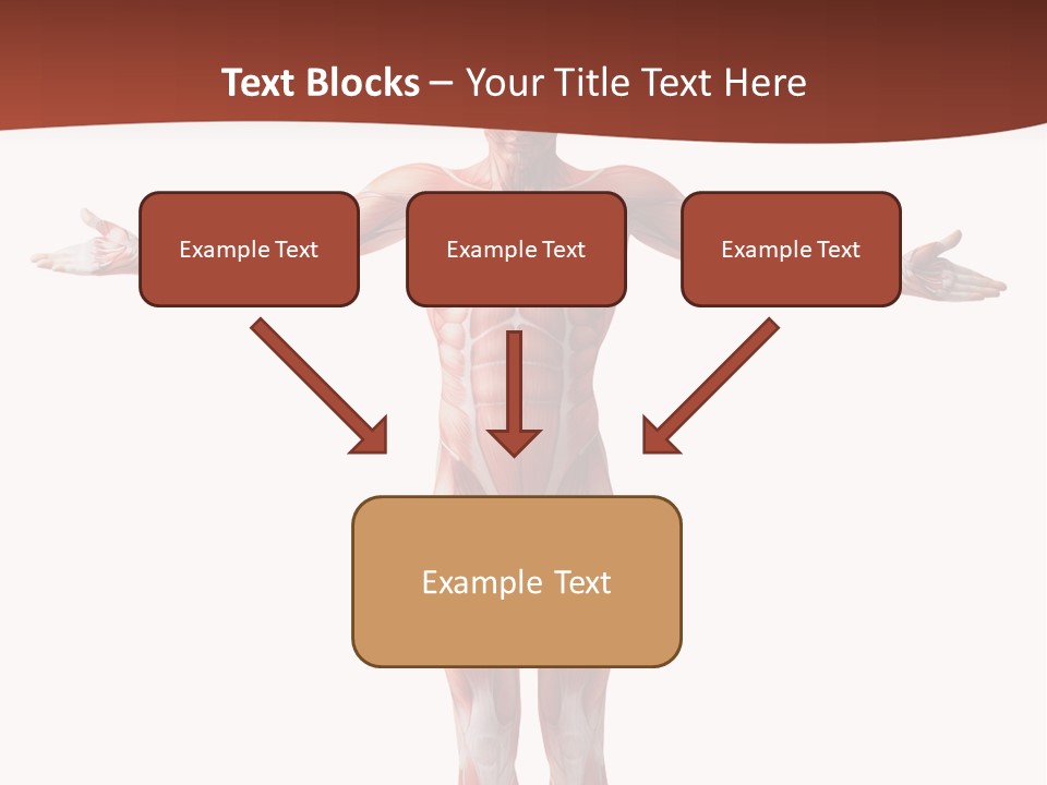 Health Nature Education PowerPoint Template