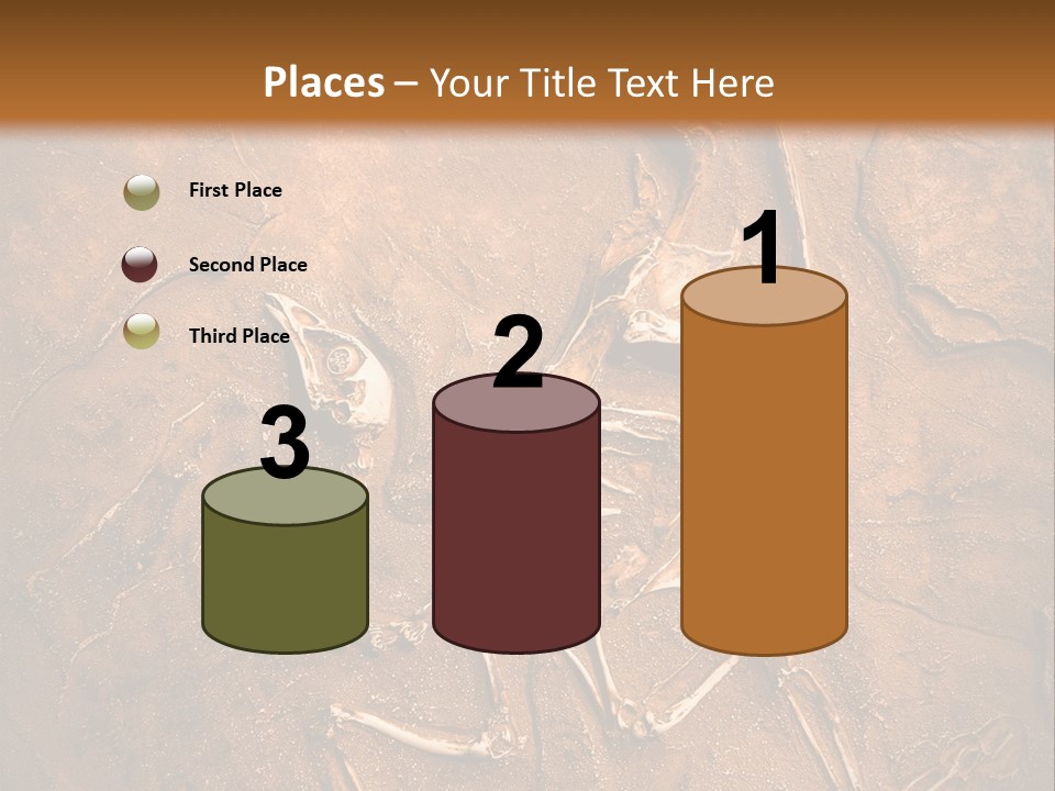 Paleontology Evolution Biology PowerPoint Template