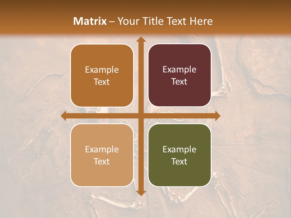 Paleontology Evolution Biology PowerPoint Template