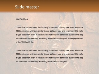 Paleontology Evolution Biology PowerPoint Template