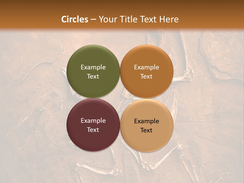 Paleontology Evolution Biology PowerPoint Template