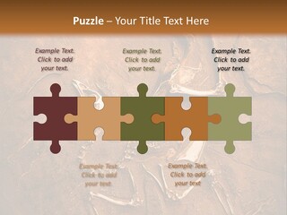 Paleontology Evolution Biology PowerPoint Template