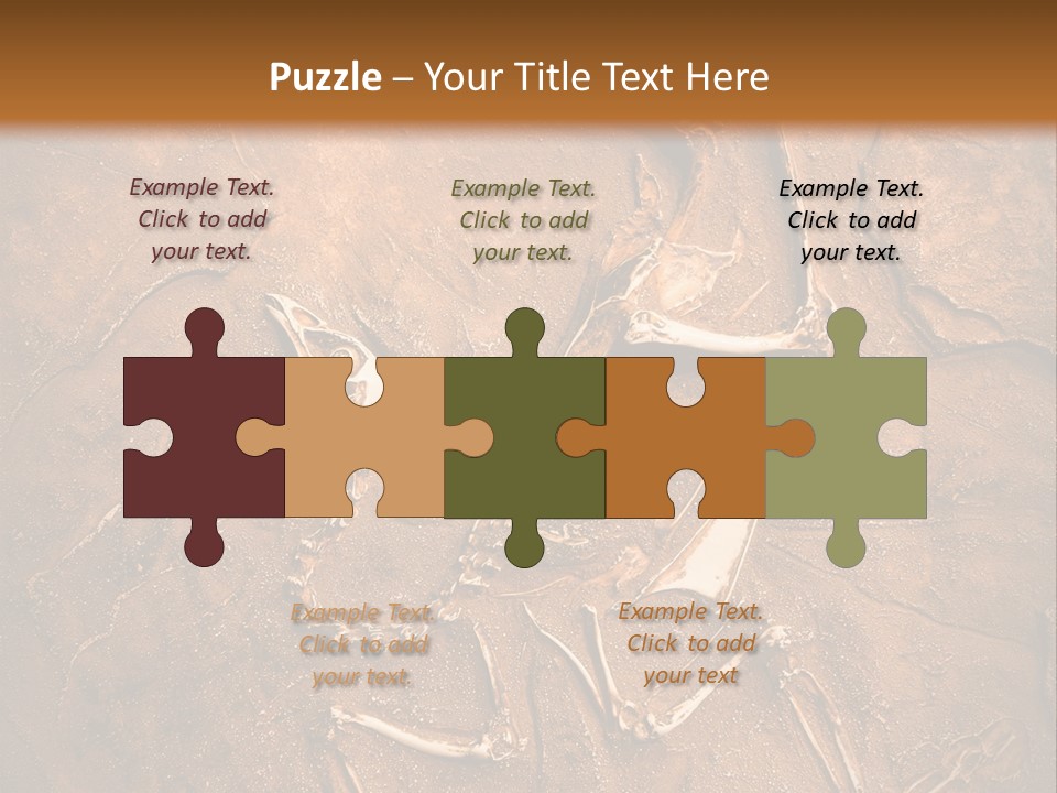 Paleontology Evolution Biology PowerPoint Template