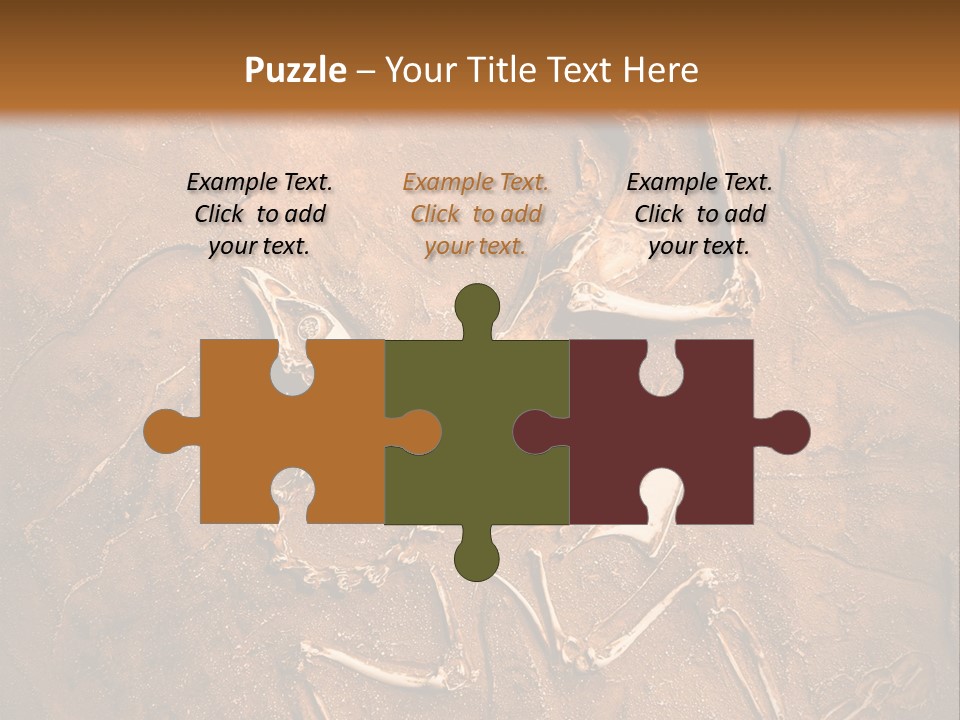 Paleontology Evolution Biology PowerPoint Template