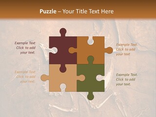 Paleontology Evolution Biology PowerPoint Template