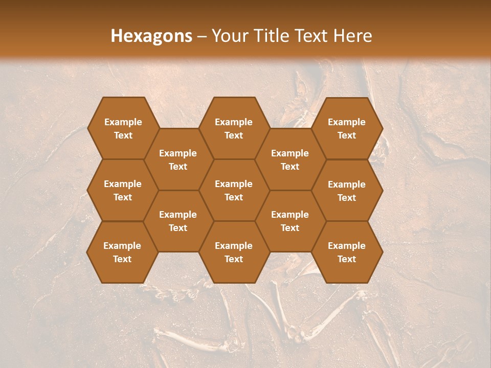 Paleontology Evolution Biology PowerPoint Template