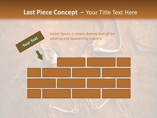 Paleontology Evolution Biology PowerPoint Template
