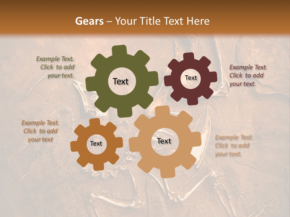 Paleontology Evolution Biology PowerPoint Template