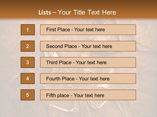 Paleontology Evolution Biology PowerPoint Template
