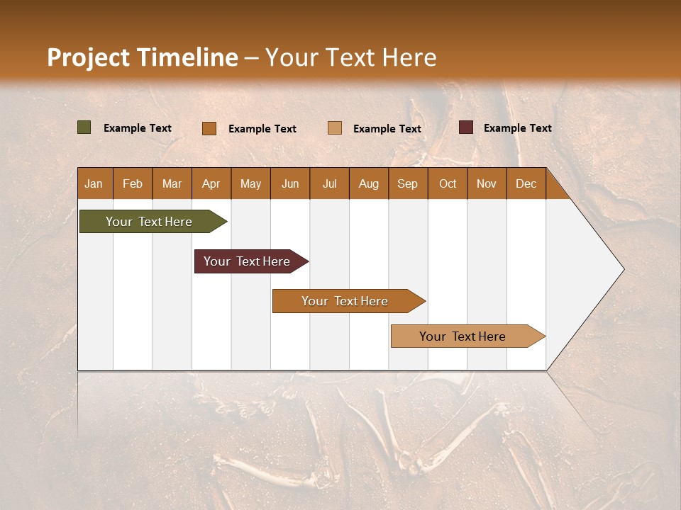 Paleontology Evolution Biology PowerPoint Template