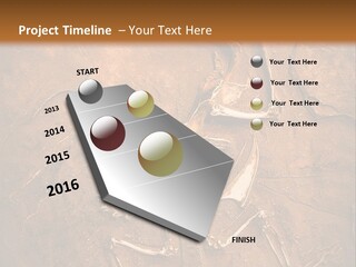 Paleontology Evolution Biology PowerPoint Template