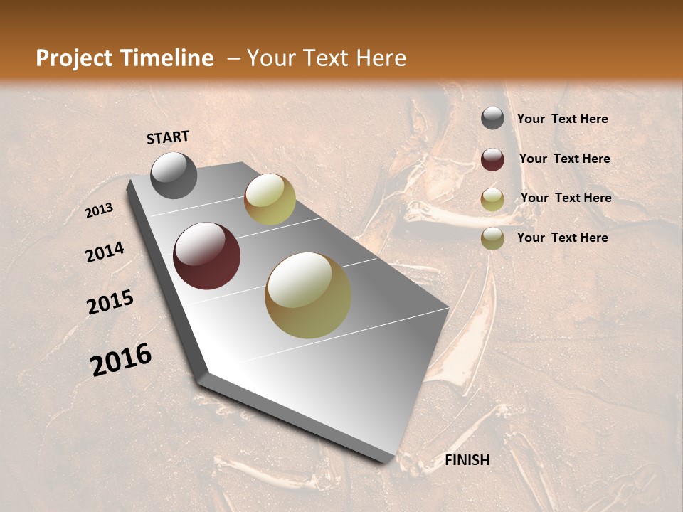 Paleontology Evolution Biology PowerPoint Template