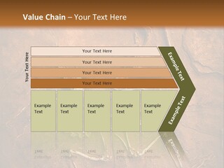 Paleontology Evolution Biology PowerPoint Template