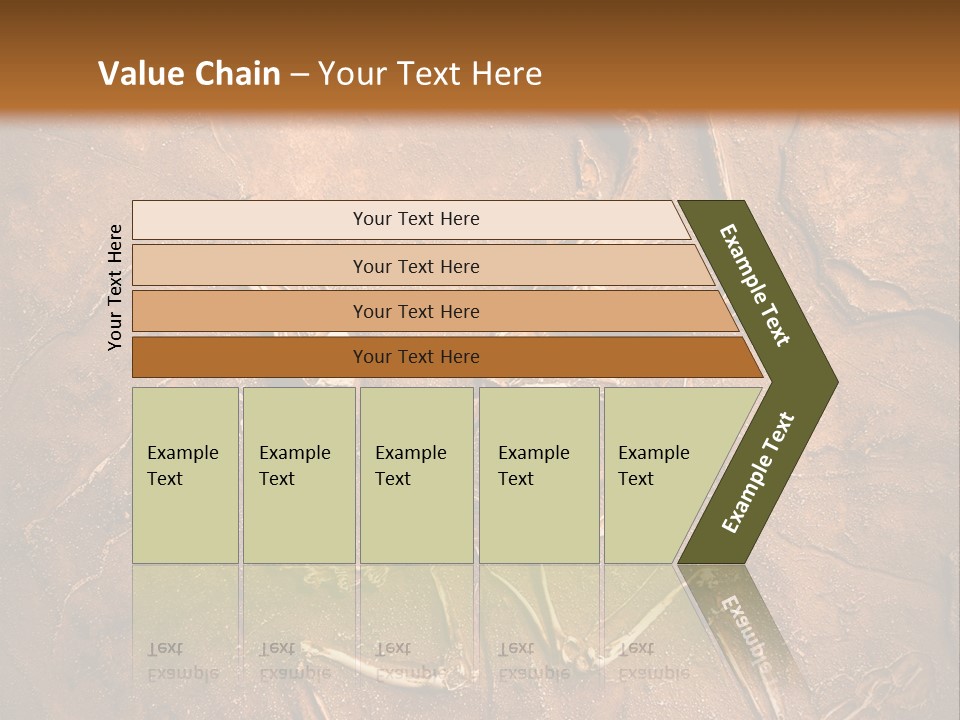 Paleontology Evolution Biology PowerPoint Template