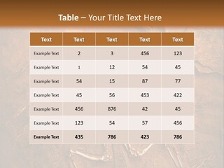 Paleontology Evolution Biology PowerPoint Template