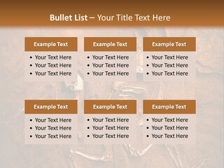 Paleontology Evolution Biology PowerPoint Template