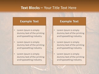 Paleontology Evolution Biology PowerPoint Template