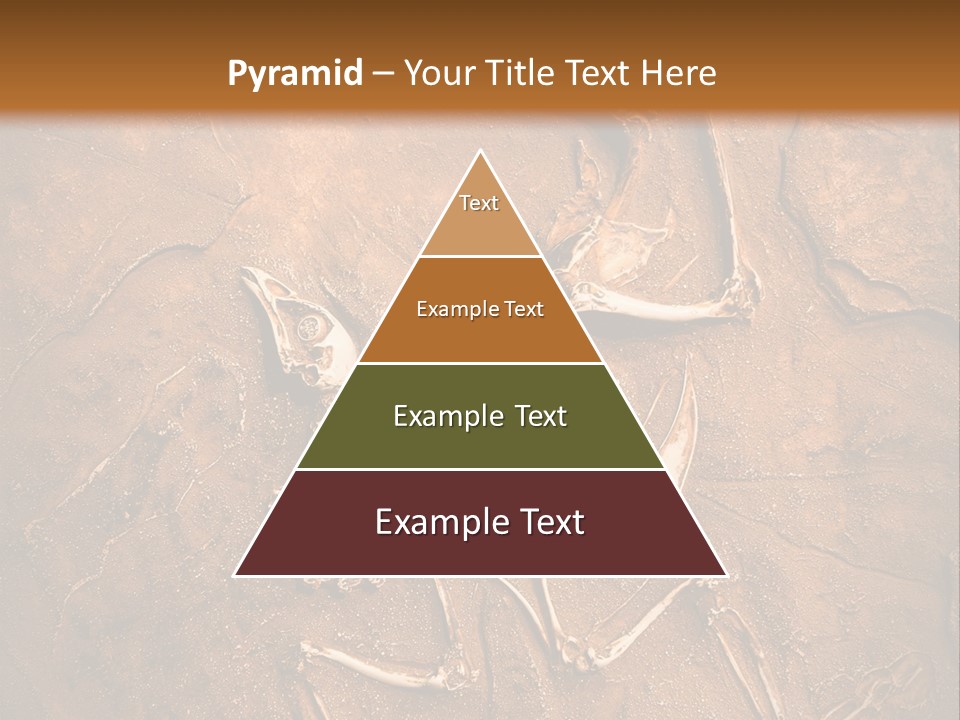 Paleontology Evolution Biology PowerPoint Template