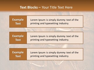 Paleontology Evolution Biology PowerPoint Template