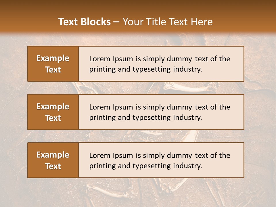 Paleontology Evolution Biology PowerPoint Template