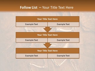 Paleontology Evolution Biology PowerPoint Template