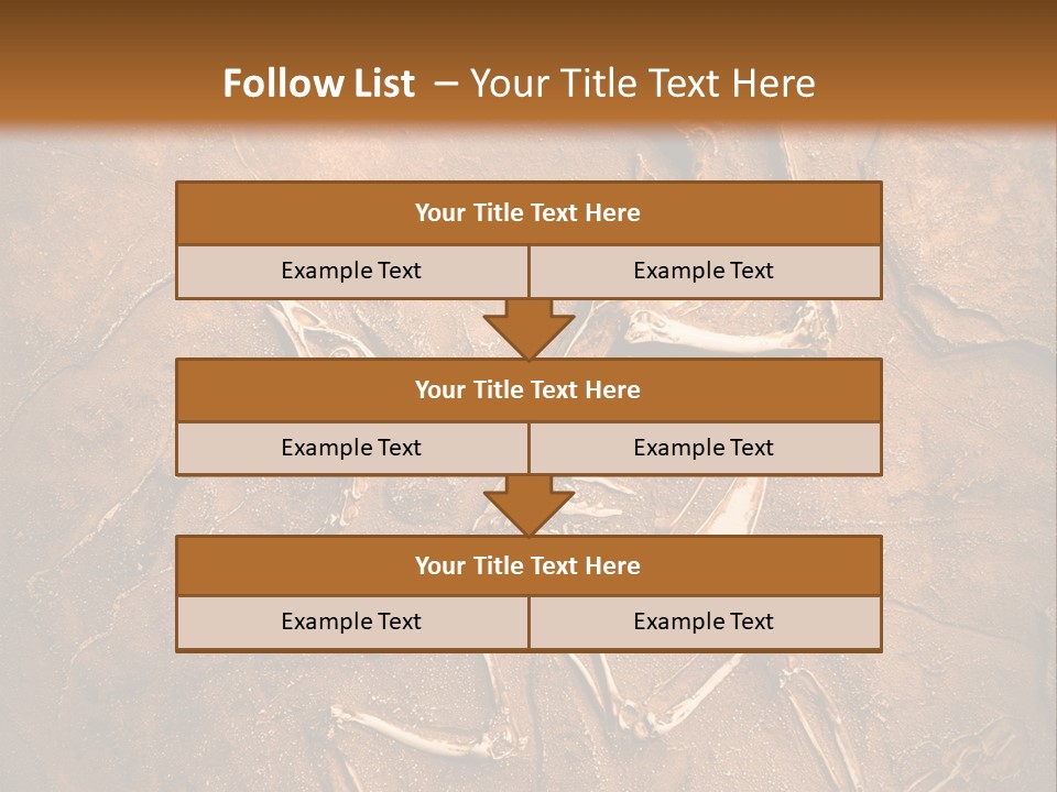 Paleontology Evolution Biology PowerPoint Template