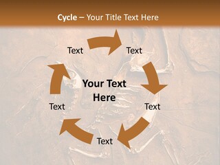Paleontology Evolution Biology PowerPoint Template
